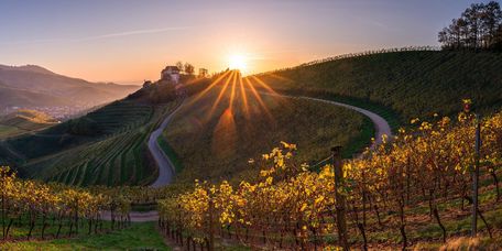 Sonnenuntergang in den Weinbergen bei Durbach